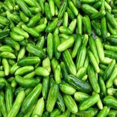 Natural Fine Taste Chemical Free No Artificial Color Green Fresh Ivy Gourd