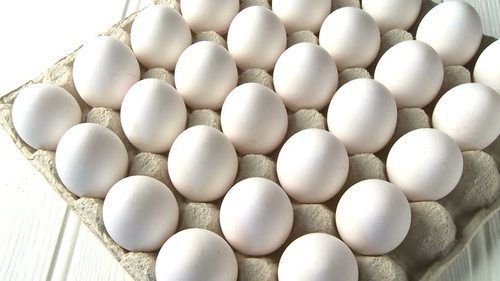 Premium Quality Farm Grown Chicken Protein Rich White Shell Egg