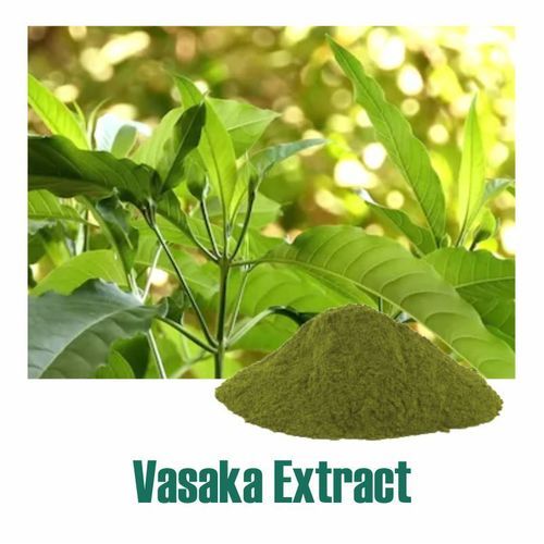 Adhatoda Vasica Extract Dry Powder