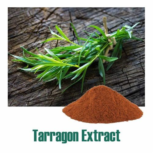 Artemisia Dracunculus Extract Dry Powder