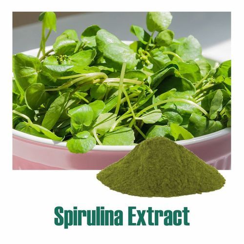 Arthrospira Platensis (Spirulina) Extract Dry Powder