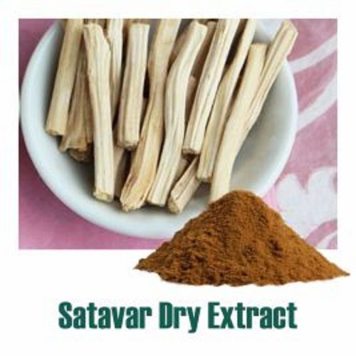 Herbal Product Asparagus Racemosus (Shatavari) Extract Dry Powder