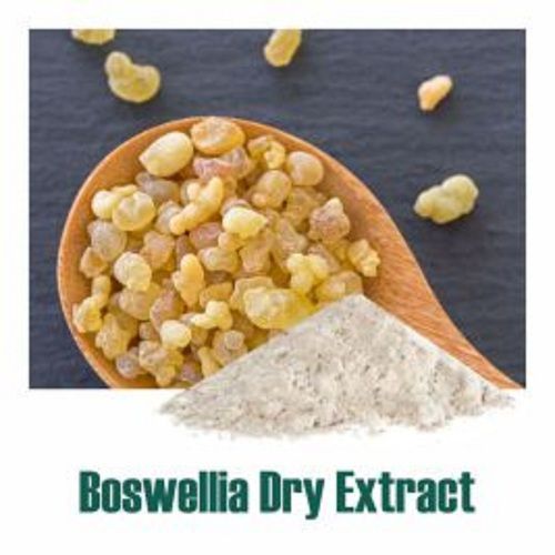 Boswellia Serrata Extract Dry Powder