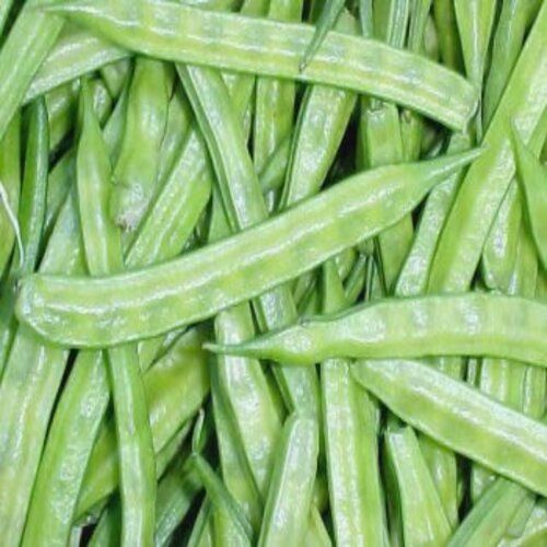 Chemical Free High Fiber Healthy Natural Taste Green Fresh Cluster Beans