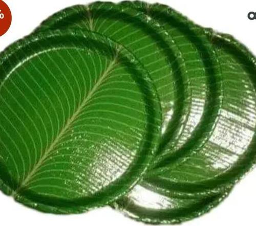 Disposable Natural Beauty Banana Leave Printed Paper Plates (Size 9 Inch) Application: Event And Party Supplies