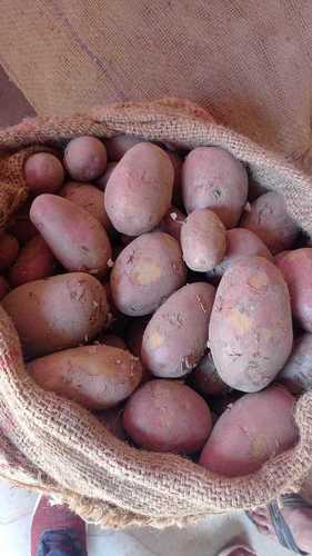 100% Pure And Natural Indian Origin Red Potato For Cooking, Snacks, Delicious Taste