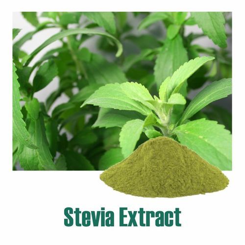 100% Herbal And Organic Stevia Rebaudiana Extract Dry Powder Natural Sweetener