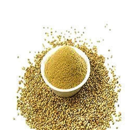 100% Natural and Organic Coriander Powder without Added Color