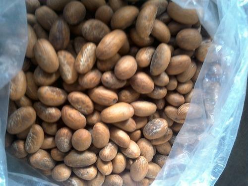 100% Pure And Organic Fresh Brown Bitter Kola Peanut Nut Broken (%): 1