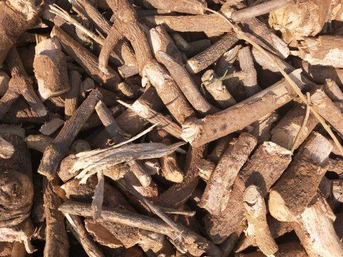 14% Moisture Jiwanti Root For Medicinal Grade