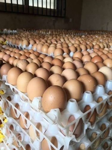 Brown And White Eggs Carat Straight From Fresh Farm With High In Protein And Nutrients Egg Origin: Chicken