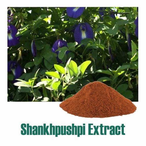 Convolvulus Pluricaulis (Shankhpushpi) Extract Dry Powder