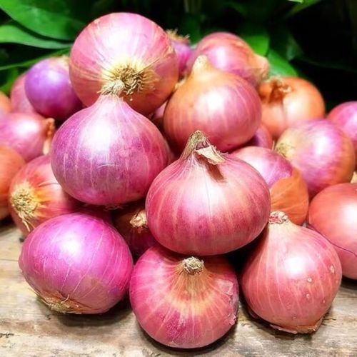 Delicious And Rich In Flavor Dry A Grade 45 Mm Red Onion For Human Consumption