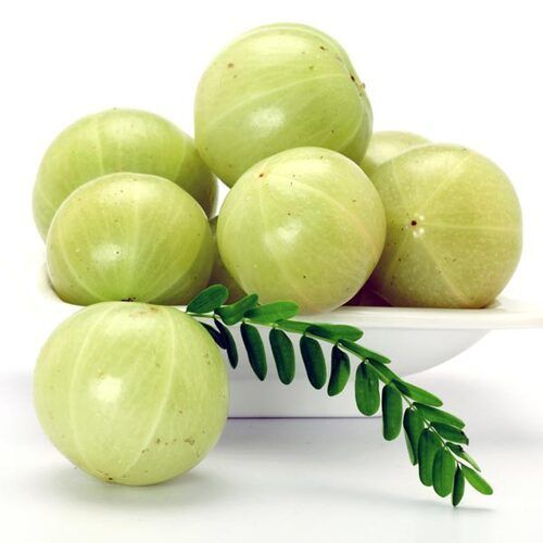 Easy to Digest Healthy Rich Natural Taste Organic Green Fresh Amla