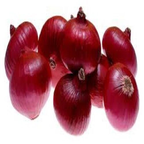 Round & Oval Enhance The Flavor Rich Healthy Natural Taste Organic Fresh Red Onion