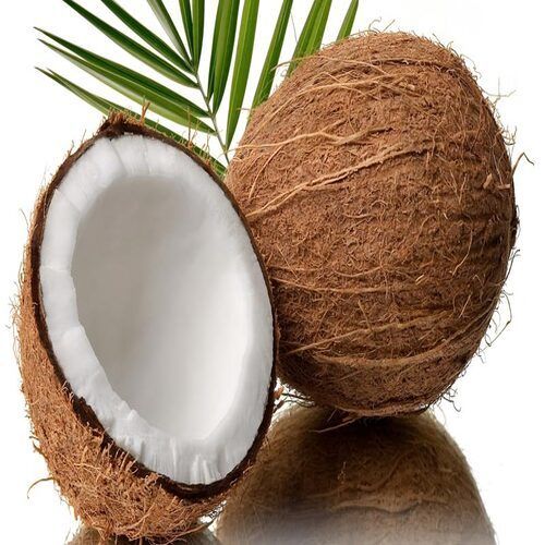 Free From Impurities Natural Rich Taste Healthy Organic Brown Fresh Coconut