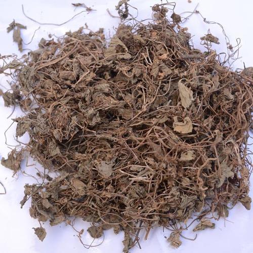 Natural Dried Herbal Extract Centella Asiatica