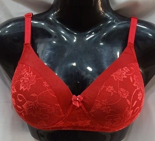 Net And Lycra Fabric Women Full Coverage Non Padded Bra (red