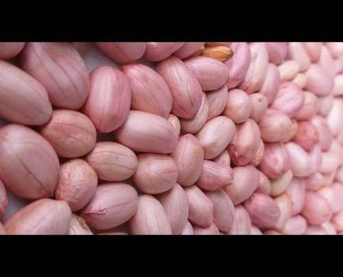 Organic High Protein Ground Nut Seeds For Agriculture And Cooking Use