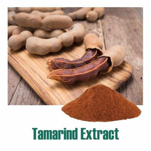 Organic Tamarindus Indica Extract Dry Powder For Flavoring And Medicinal Use