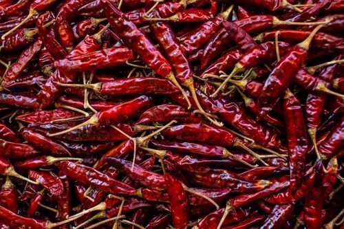 Solid Rich Antioxidant 100% Pure Spicy And Organic Dried Red Chilli For Cooking