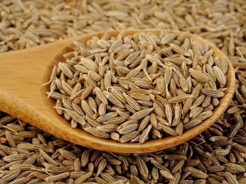 A Grade Natural Sun Dried Cumin Seeds For Cooking Food