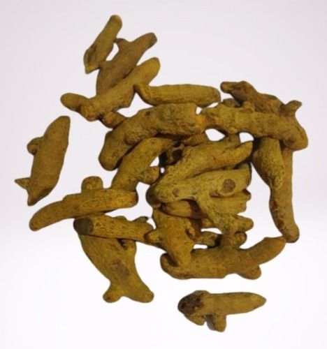 Antioxidant Natural Taste No Added Preservatives No Artificial Color Organic Dried Turmeric Finger