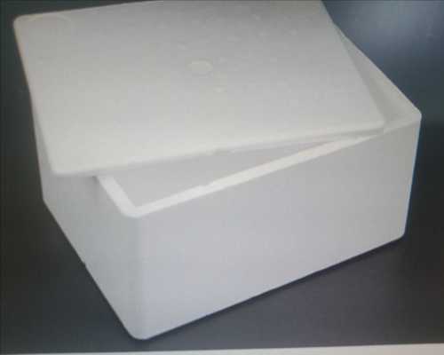 पर्यावरण के अनुकूल और हल्के वजन का आयताकार आकार सफेद रंग का थर्मोकोल बॉक्स 