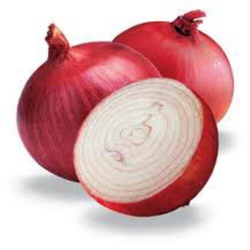 Enhance The Flavor Rich Healthy Natural Taste Fresh Red Onion