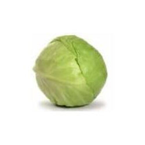 Round & Oval Floury Texture Healthy Rich Natural Fine Taste Green Fresh Cabbage