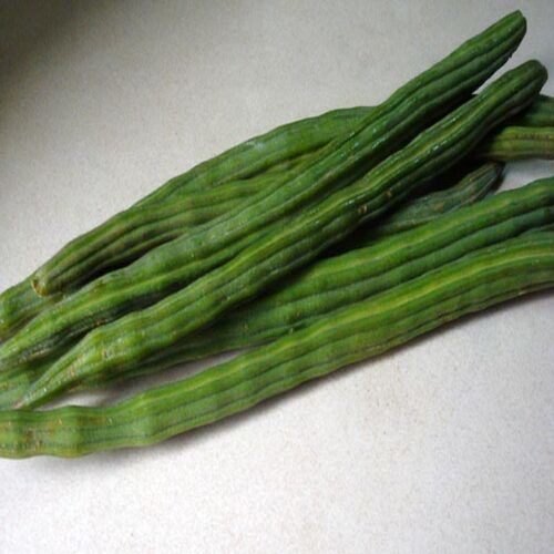 Long High Fiber No Artificial Color Healthy Natural Rich Taste Green Fresh Drumsticks