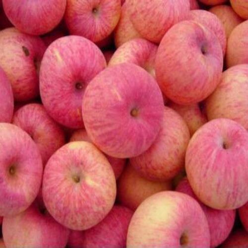 Sweet Delicious Rich Natural Taste Chemical Free Red Fresh Kashmiri Apple