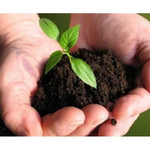 100% Pure Brown Bio Fertilizer Used In Agriculture Fields