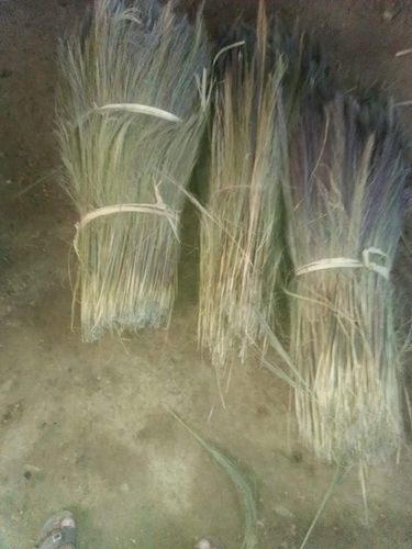 Painting Broom Brush Sticks For Home, Office, Warehouse And Industrial Use