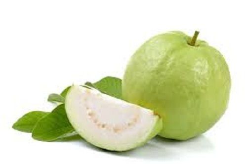 A Grade 100% Pure Fresh Organic And Healthy Whole Guava Fruits