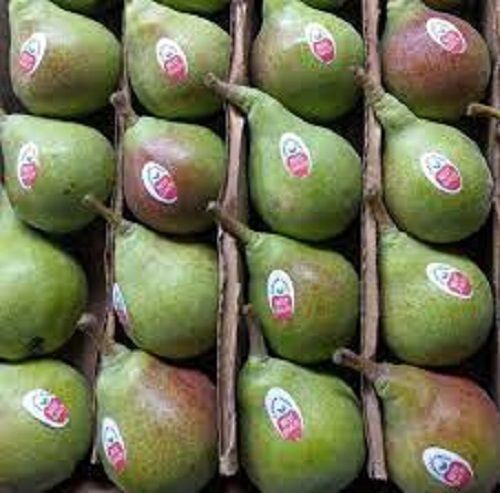 A Grade 100% Pure, Organic Fresh Sweet Taste Green Whole Pears Origin: India