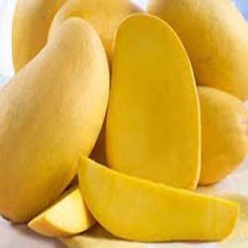 Chemical Free Sweet Delicious Rich Natural Taste Healthy Yellow Fresh Dasheri Mangoes