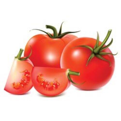 Round & Oval Mild Flavor Chemical Free Healthy Natural Taste Red Fresh Tomato