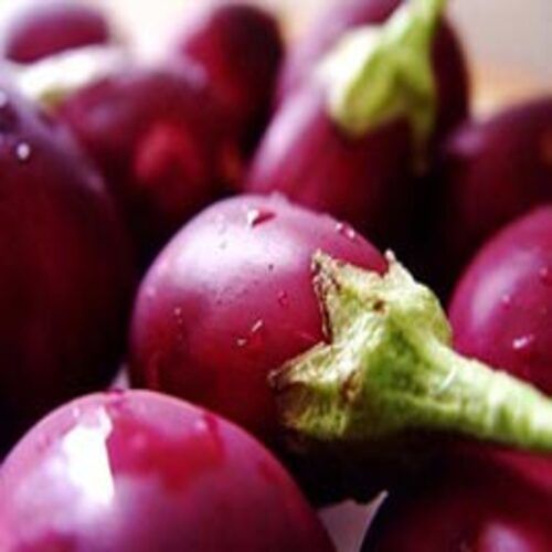 Pesticide Free Healthy Delicious Natural Rich Fine Taste Purple Fresh Brinjal