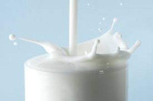 Premium Cow Milk For Healthy Immune System And Great Source Of Calcium And Strong Bones And Teeth