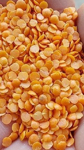 Rich In Protein Carbohydrates And Fiber Healthy Fresh Yellow Toor Dal