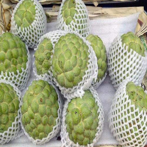 Rich Natural Delicious Taste Chemical Free Healthy Green Fresh Custard Apple Origin: India