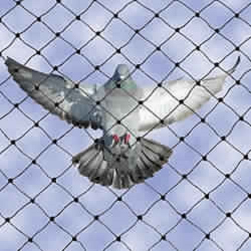 Anti Bird Netting Services Age Group: Suitable For All Ages