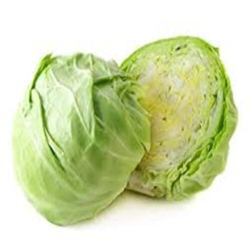 Floury Texture Healthy Rich Natural Fine Taste Organic Green Fresh Cabbage