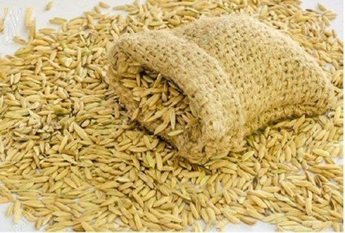 Indian Origin, Organic Dried Natural Brown Basmathi Paddy Rice