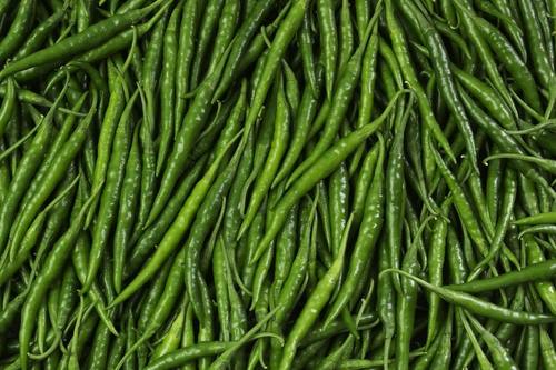 No Preservatives Pesticide-Free Organically Grown Fresh Green Chillies