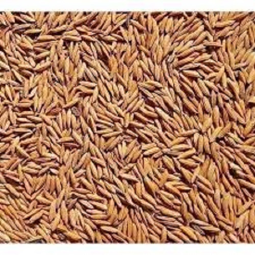 ठोस 100 प्रतिशत प्रामाणिक अच्छी तरह से वृद्ध स्वादिष्ट लंबे दाने वाला भूरा धान बासमती चावल