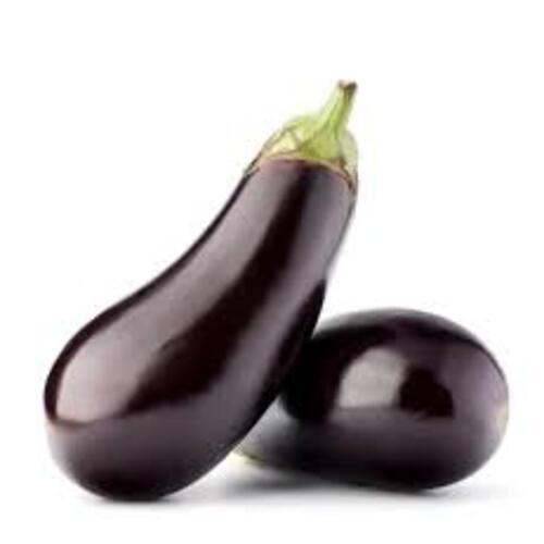 Chemical Free Healthy Delicious Natural Rich Fine Taste Purple Fresh Aubergine