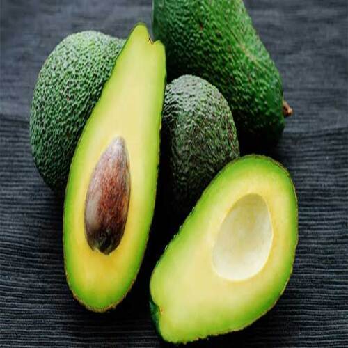 Healthy Rich Delicious Natural Taste Chemical Free Organic Green Fresh Avocado