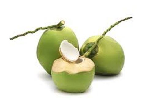 Hundred Percentage Natural Tender Coconut With High Nutritional Value